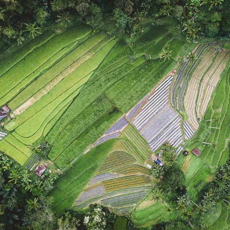 Outdoor terrace seating suitable for families in Lisbon